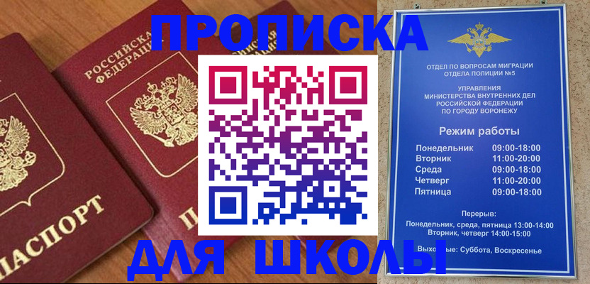 прописка ребенка в Щёкино