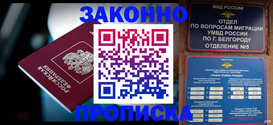 помощь с регистрацией через МФЦ в Щёкино